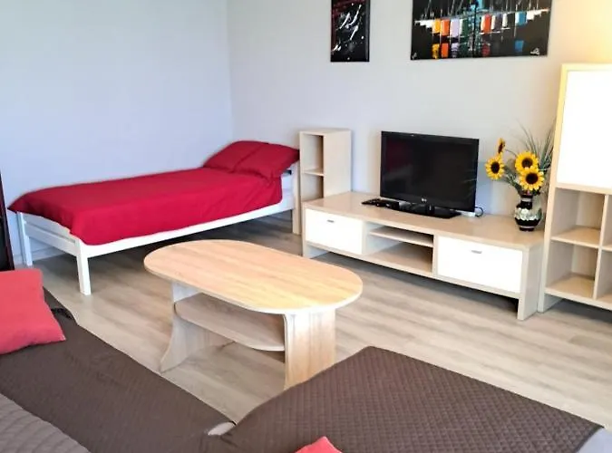 Vilma A2 Plus 1
